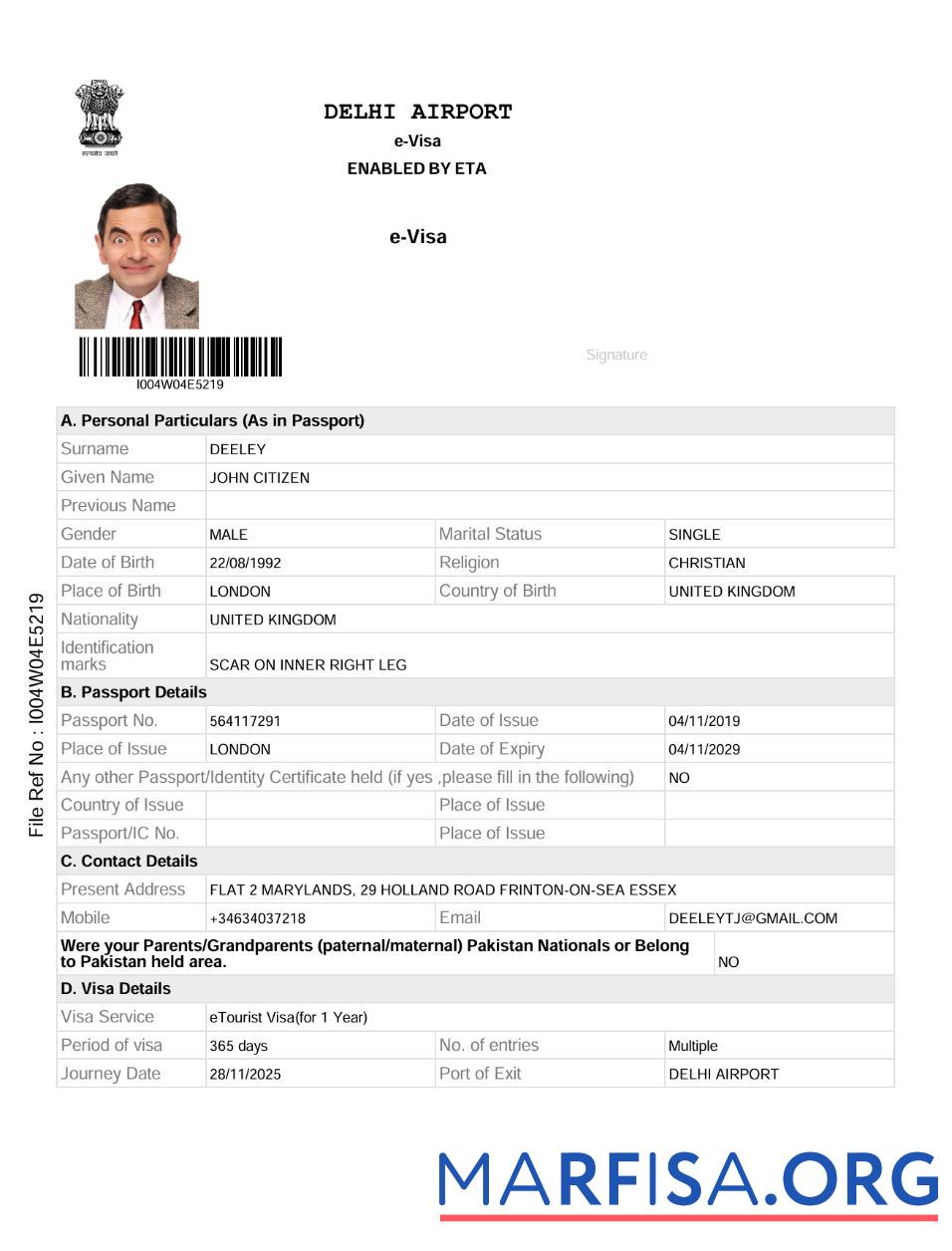 Realistic India e visa template in Word and Pdf formats, version 2